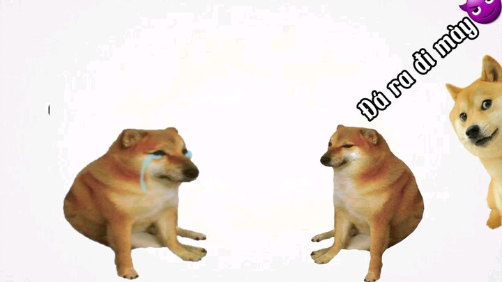 chế