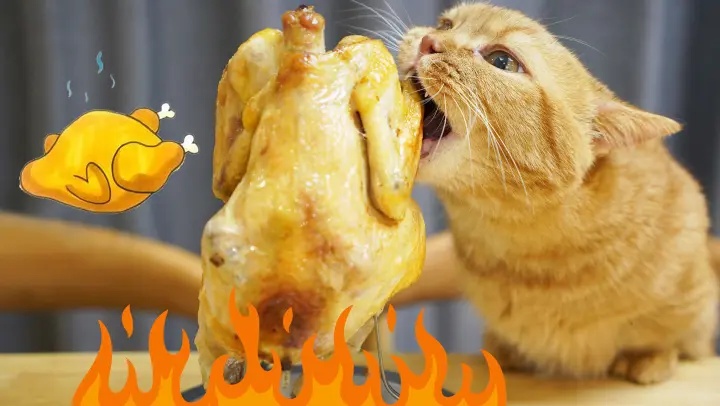 Animal Mukbang | Cute Cats Eating Roast Chicken