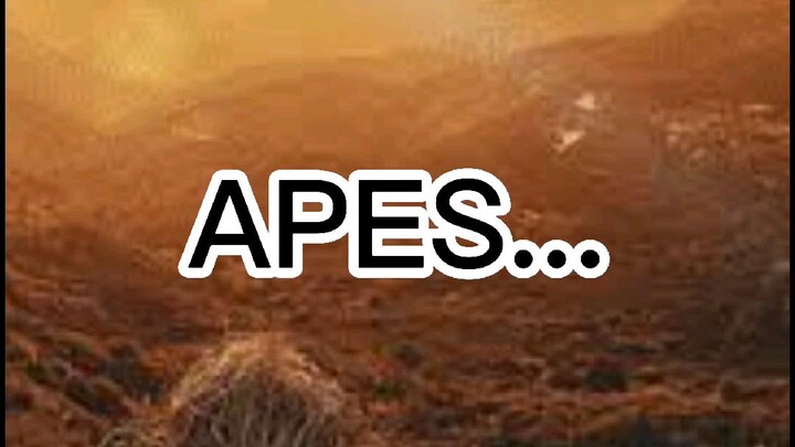 Apes apesnya....