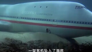 一架客气坠入了海底，可里面的乘客却安然无恙