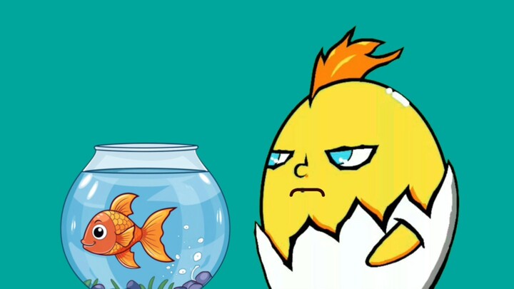KETIKA COCO PELIHARA IKAN NGAKAK