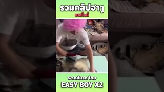 รวมคลิปฮา พากย์นรก #short #easyboy #คลิปฮา #เบสไวน์