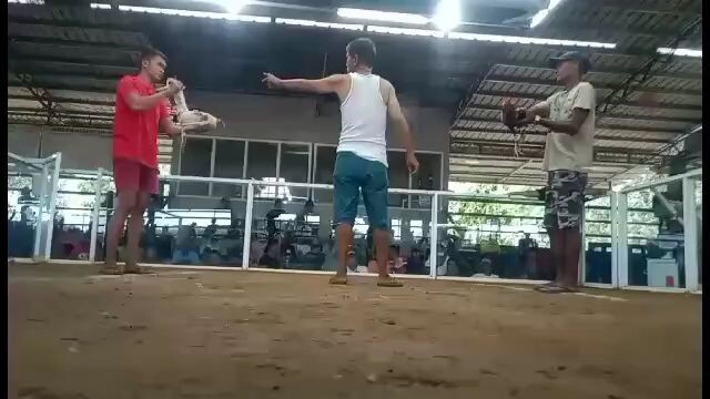 2x winner na white claret natin 8months april19jenxan 2025