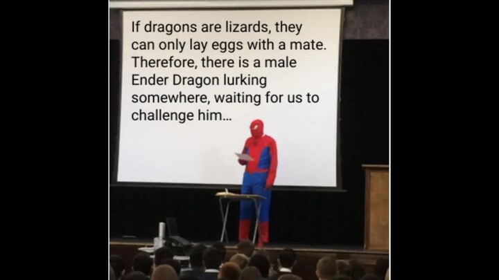 Minecraft Memes