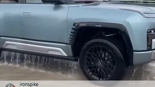 يشاهد الأجانب فيلم "عبور النهر: كنز من الأفكار الأوروبية والأمريكية" بكاميرا BYD U8. قسم التعليقات: 