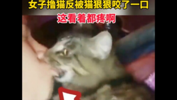 键帽tv 之零帧起手