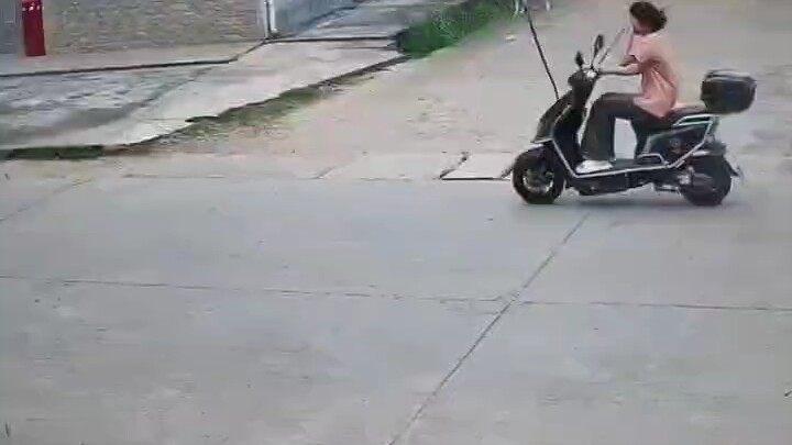 It’s hard for the dog to explain to its owner what just happened.
