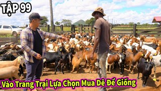 (Tập 99) Chăn Nuôi VIỆT NAM ở Châu Phi || Vào Tận Trang Trại Để Lựa Chọn Mua Dê Giống Cho Người Dân