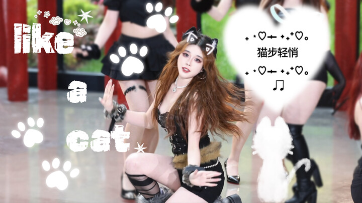 ไม่ใช่แมวน้อยในความทรงจำของคุณ แต่อันตรายร้ายแรงไม่ต่างกัน | AOA | ก้าวเบาดั่งแมว | ตำแหน่งจีมิน