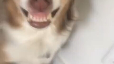 Don't scold someone who's apologizing; don't hit a smiling face.