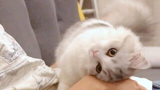 ทำตัวเหมือนเด็กเอาแต่ใจ ฉันเป็นมืออาชีพในการทำตัวเหมือนเด็กเอาแต่ใจ~