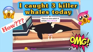 HOW I CAUGHT 3 KILLER WHALES TODAY?!! | MÌNH CÂU ĐƯỢC 3 CON CÁ VOI SÁT THỦ HÔM NAY !