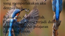 pilihan