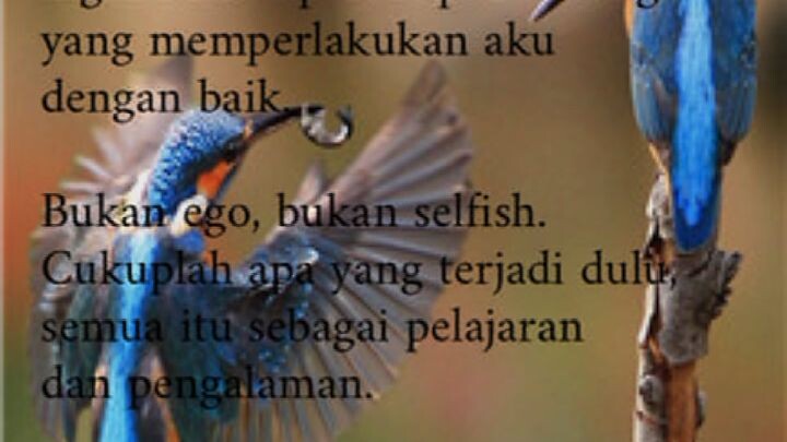 pilihan