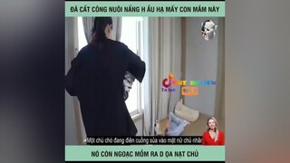 đã cất công nuôi nó.mà nó lại .. 🤣 mereviewphim reviewphimhay nntreview2