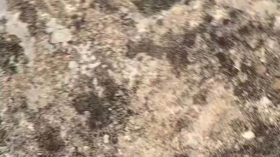 kangen era lagu ini🕸