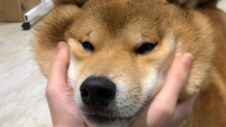 Mom's Big Boy (Happiness from All Directions)