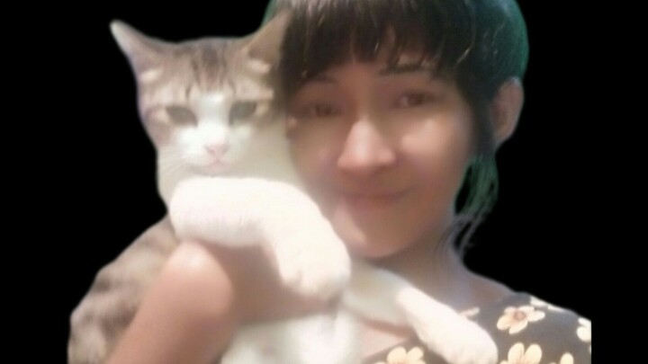 😻 ULiN hO Rabu 7Feb2024