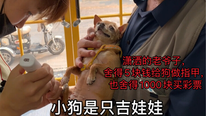 The old man is quite the free spirit: he’s happy to spend five yuan on a paw‑nail trim for his pup a