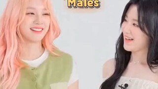 (G)I-dle Yuqi x Shuhua