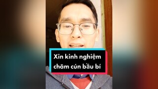 Mong đợi đàn cún con quá đi...cunyeucuadua chó chócon chókhôn chócute