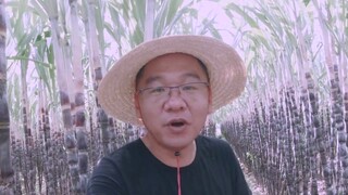 Tôi không yêu cầu anh phải vượt qua tôi, anh rất năng nổ, chàng trai ạ!
