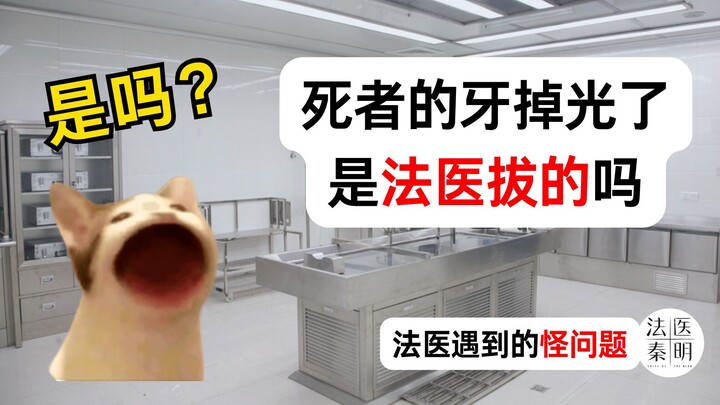 Cat Meme Forensic Q&A | Does a forensic dentist pull teeth from the dead? What on earth are they doi