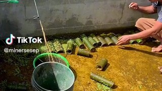 masarap na seafoods