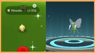 Shiny Weedle with special move Drill Run during community day!