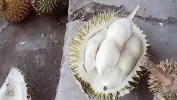 banjir duren