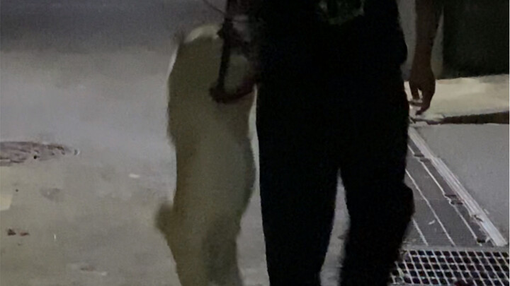 大家好，洁癖小狗来B站啦