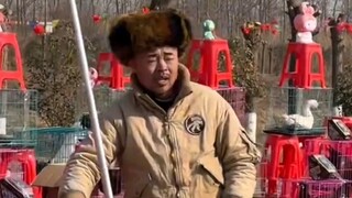 光头老板还是一如既往的硬气