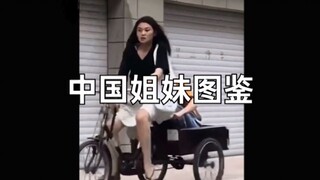中国姐妹图鉴