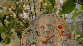 来更新啦!💕