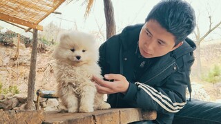 Saya mengadopsi seekor anjing dan mengadakan barbekyu dengan teman