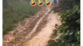 please like, coment and follow