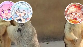 当姐姐真难