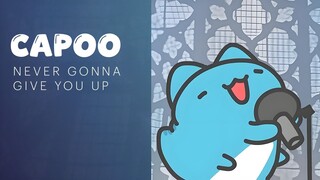 咖波版诈骗神曲《Never Gonna Give You Up》