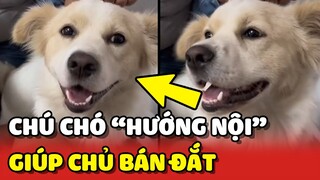 Chú chó "HƯỚNG NỘI" giúp cô chủ BUÔN MAY BÁN ĐẮT 🥰 | Yêu Lu