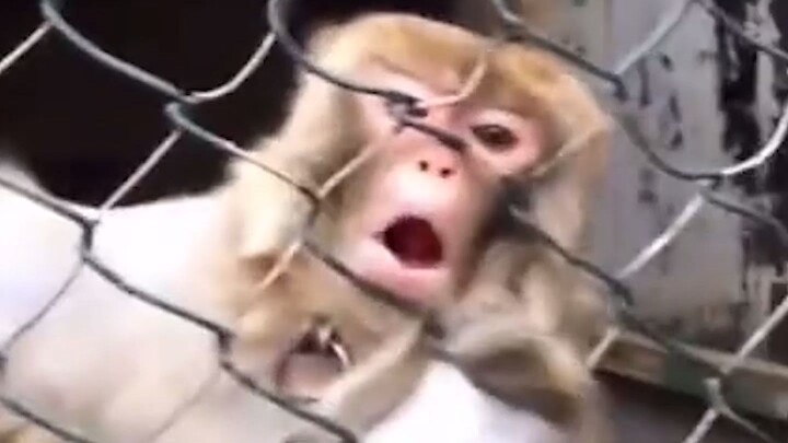 Oh my, so mischievous!