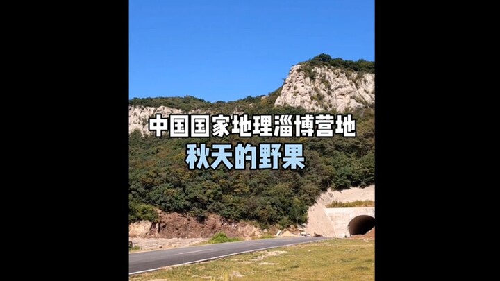 [China National Geography Zibo Camp] Autumn Wild Fruits