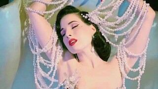 ديتا فون تيسي، راقصة التعري الأعلى دخلاً في العالم