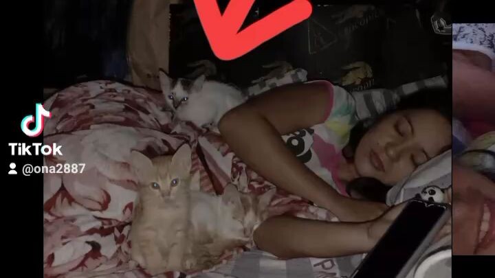 paalam mahal kong MAO.. run free baby mahal na mahal ka namin ng daddy mo😭😭😭