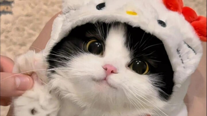 "Sharing with the cutest people~"