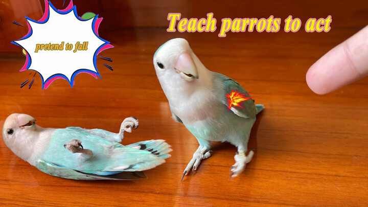 Teaching the Parrot to Act Like Being Shot