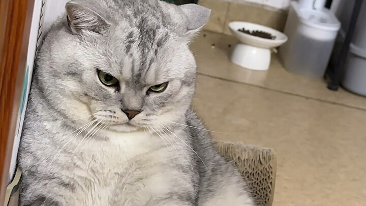 Dì út nghịch ngợm bị Đại Tráng cho ăn đấm