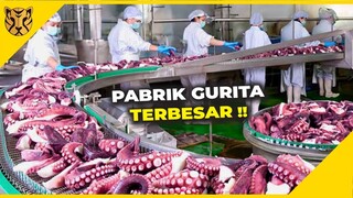 Inilah Rahasia Dibalik Proses Pengolahan Paling Unik dari Gurita, Kepiting, Sampai Kanguru di Pabrik