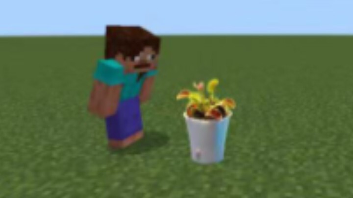 ماذا تفعل إذا أمسكت بك نبات الطرسوس؟