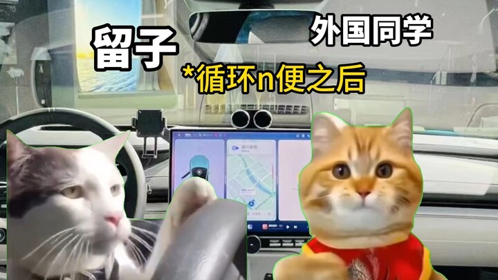 เมื่อ ริวโกะ หลอกเพื่อนต่างชาติกลับบ้าน【ตอนที่ 2】