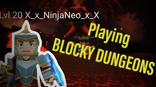 NEW GAME!!! Blocky Dungeons | Blockman Go Blocky Mods